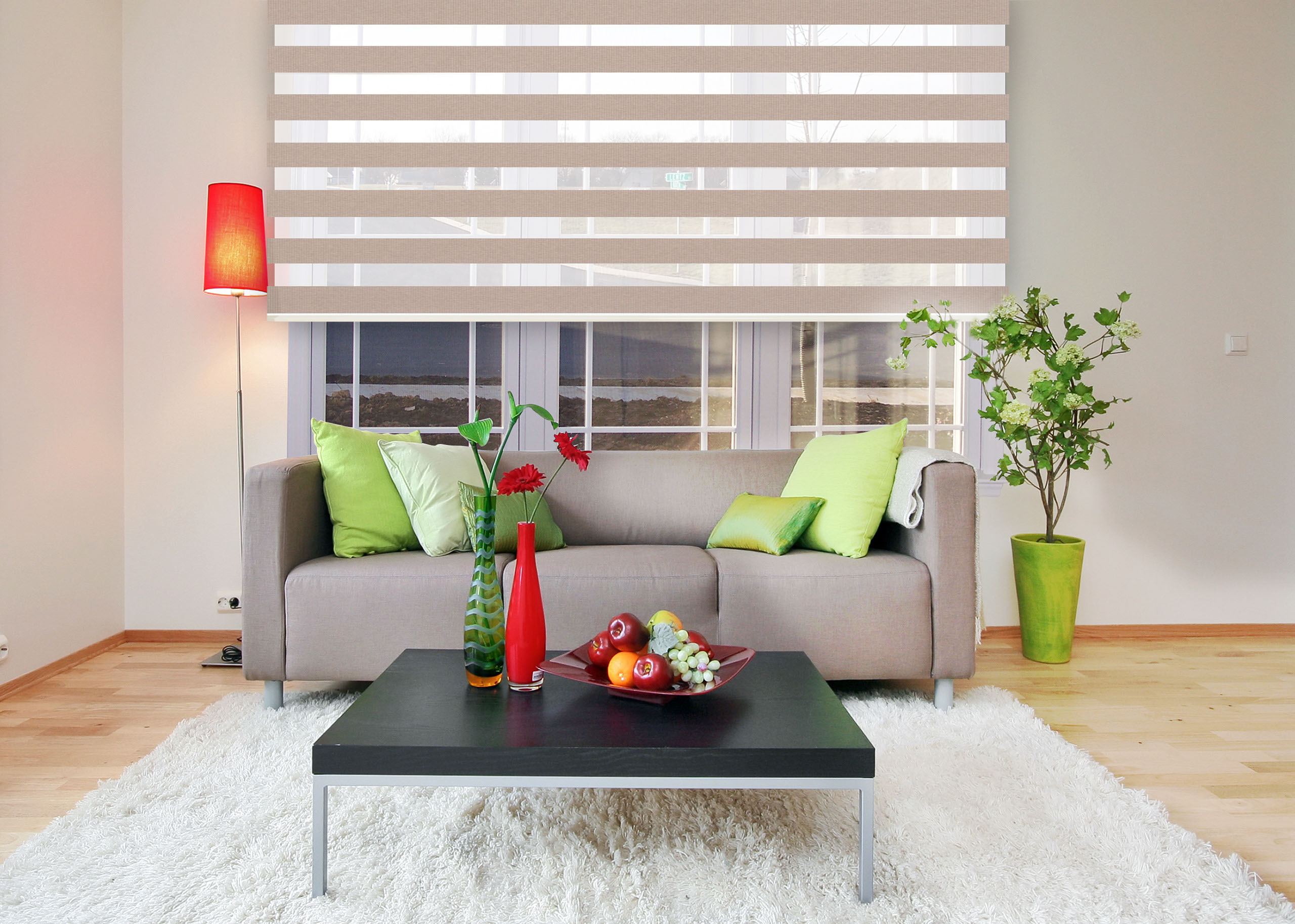 Blinds Designs