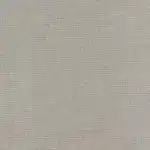 Photo of sample showing Birmingham Blackout Mushroom