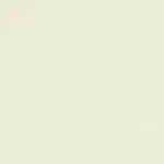 Sample of Night II Decorative Blackout Ivory